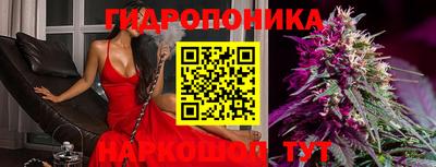 крисы Кимры