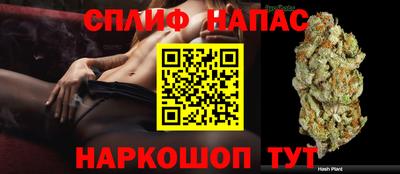 крисы Кимры