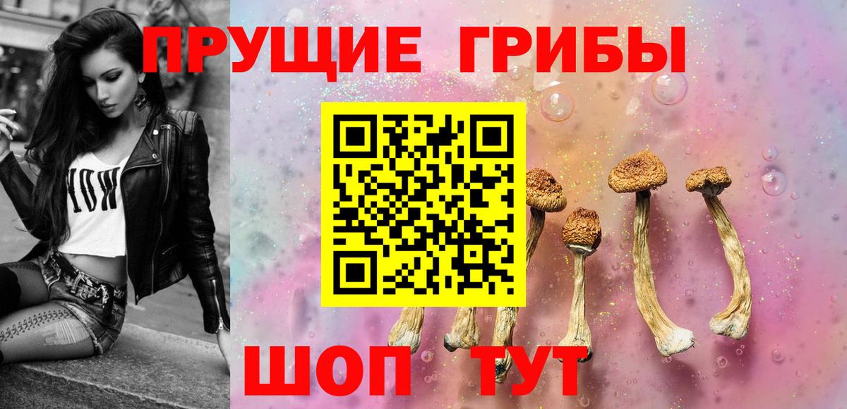 Псилоцибиновые грибы мухоморы Луга