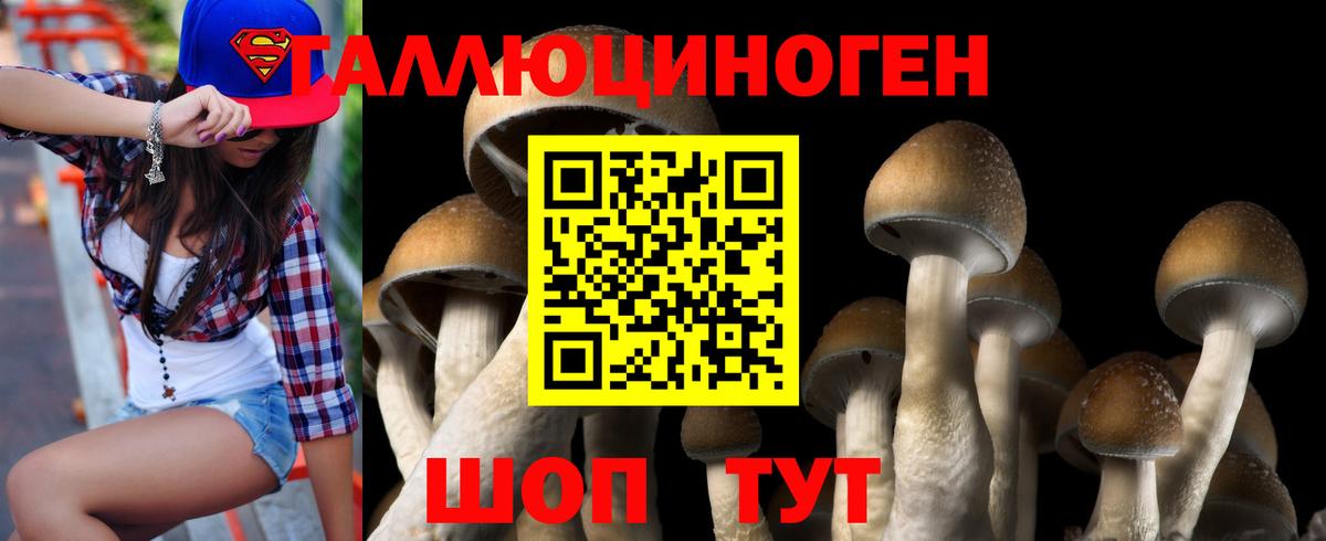 Псилоцибиновые грибы Magic Shrooms  Вход с VPN  Луга  Галлюциногенные грибы Magic Shrooms 